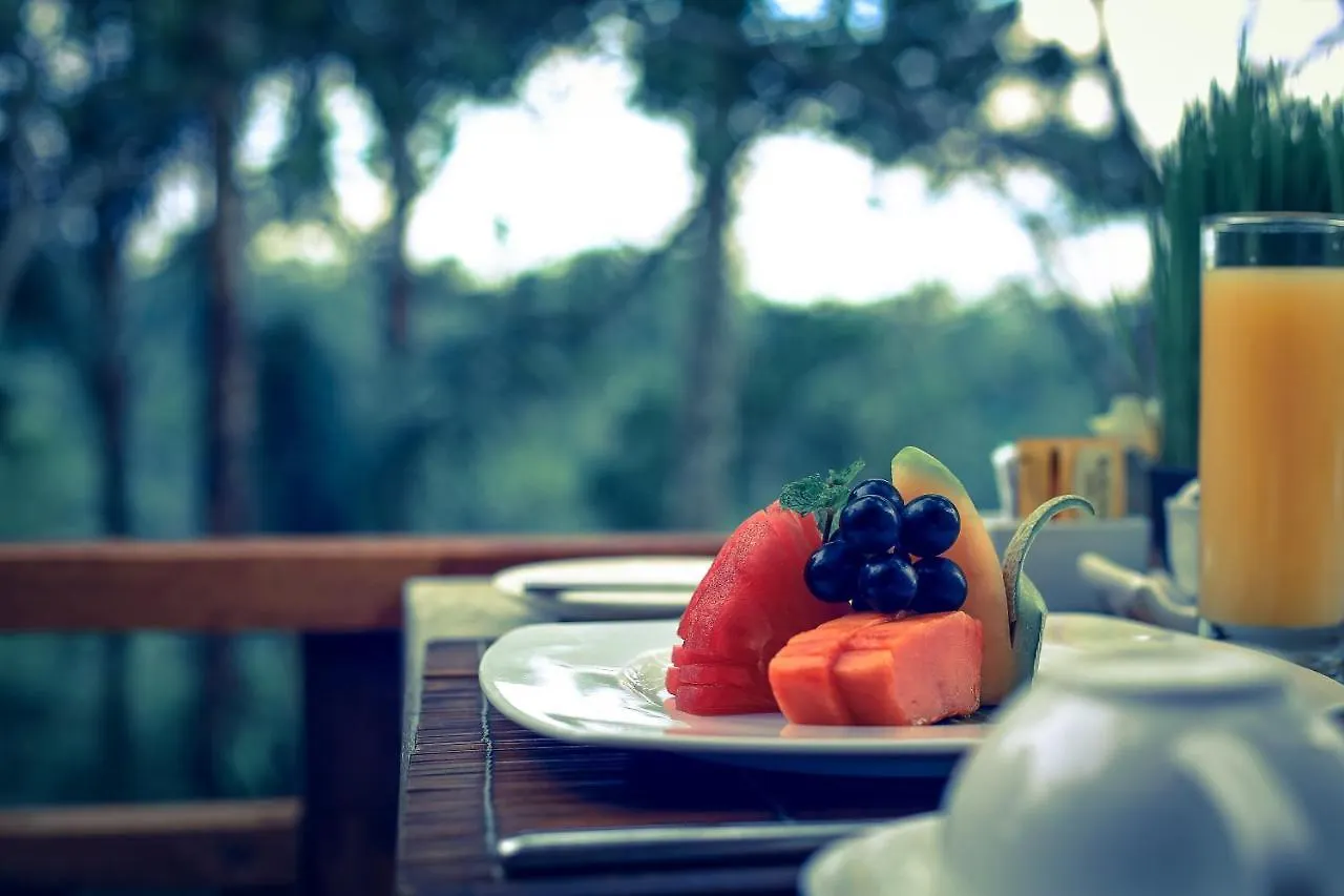 Hotel Sunia Jungle Ubud Parco vacanze