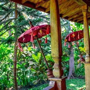 Swasti Eco Parque de vacaciones